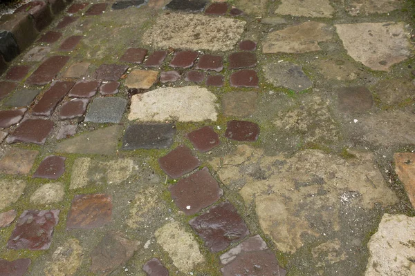 Wet stone pavement ground in rainy day. Closeup shot