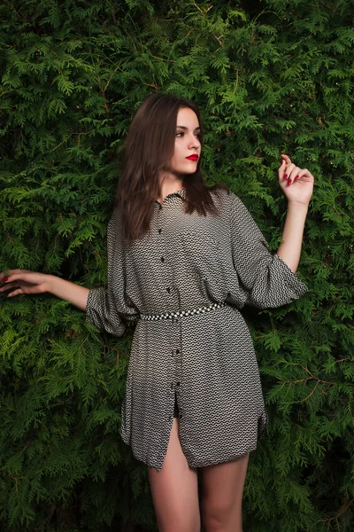 Harika esmer kadın trendy uzun gömlekli bir yeşil Mazı arka plan üzerinde poz