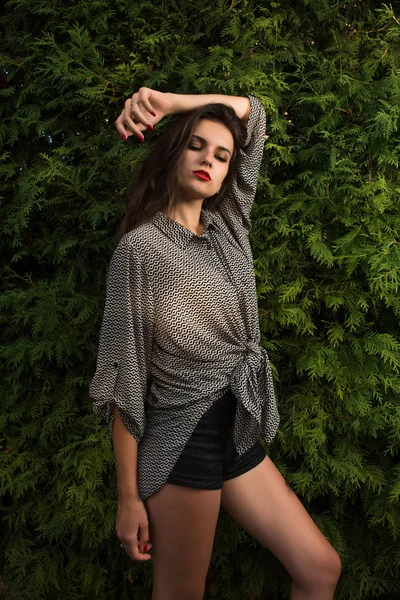 Stijlvolle Brunette Meisje Casual Shirt Poseren Een Groene Thuja Achtergrond — Stockfoto