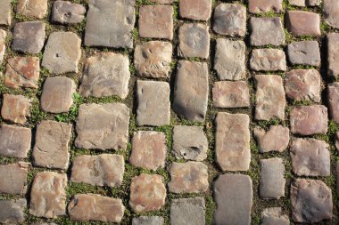 Kaldırım çim ile granit taşlarla döşeli. Closeup çekim