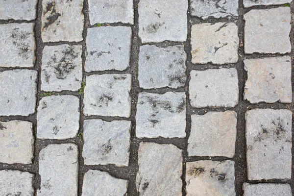 Acera Piedra Empedrada Húmeda Después Lluvia Primer Plano Tiro —  Fotos de Stock