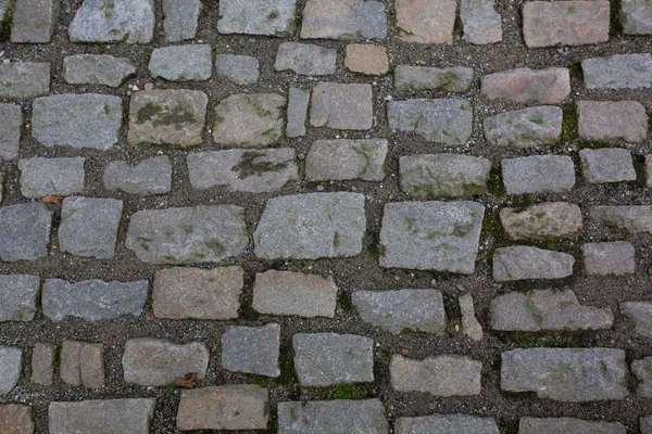 Trottoaren Stenar Efter Regnet Historiska Stadskärnan Prag Närbild Skott — Stockfoto