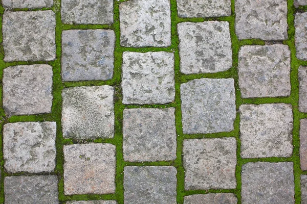 プラハの歴史地区草で古い敷石 クローズ アップ ショット — ストック写真
