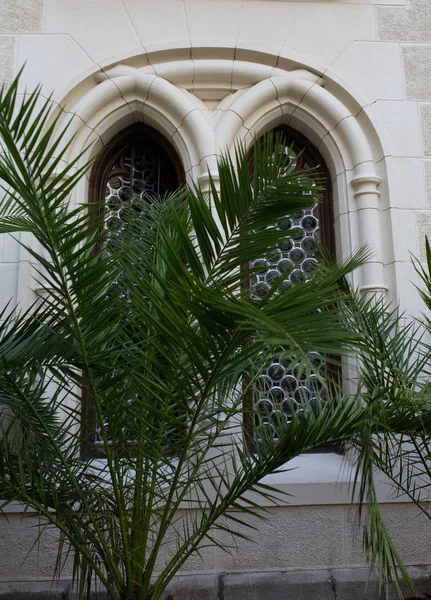 城堡外的哥特式木窗与棕榈树 — 图库照片