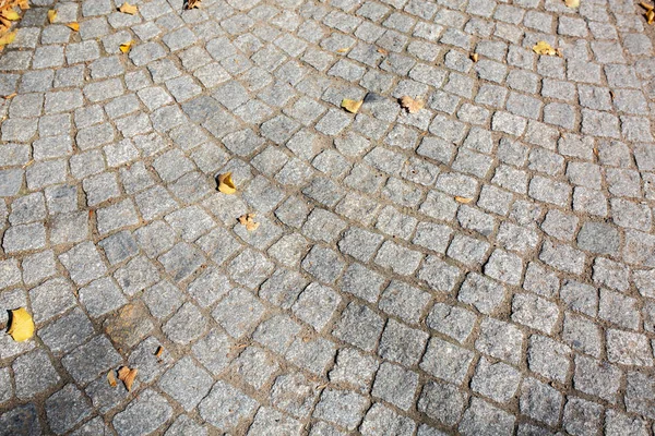 Pedestrian Road Granite Stones Autumn Yellow Leaves Closeup Shot — Stock Photo, Image