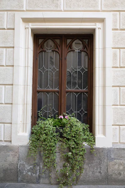 Vieille Fenêtre Avec Treillis Parterres Fleurs Gros Plan — Photo