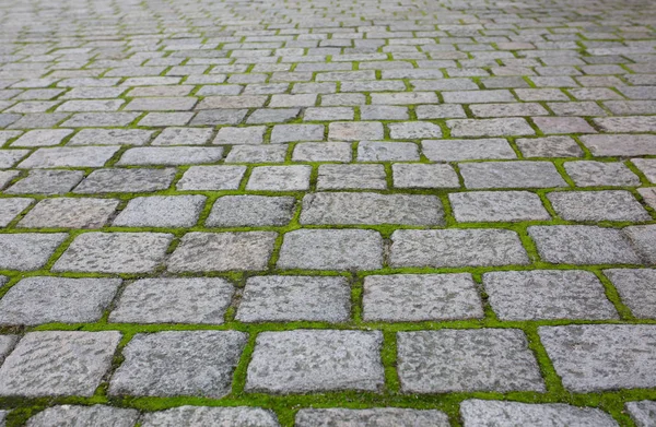 古い舗装の視点で草が付いている石 クローズ アップ ショット — ストック写真
