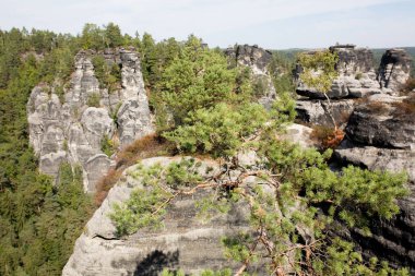kayalar ve orman ile güneşli bir günde manzara