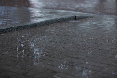 Yağmur altında döşeme levhalar