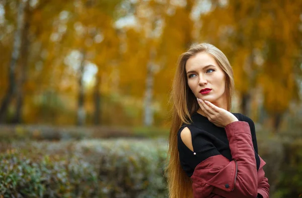 Menina loira elegante posando na floresta de outono — Fotografia de Stock