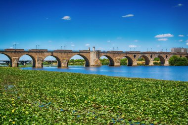 Eski köprüsü ve iskelesi olan Guadiana Nehri manzarası. Extremadura seyahatleri. Guadiana nehri, sarı çiçekli bir su bitkisi olan nilüferlerden oluşan bir battaniyeyle kaplıydı..