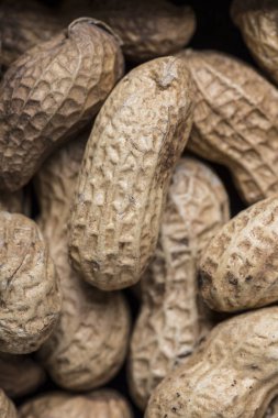 doku detay bol yer fıstığı ve diğer hububat ürünleri