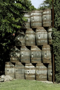 Şaraphanenin eski mahzenine istiflenmiş şarap fıçıları..