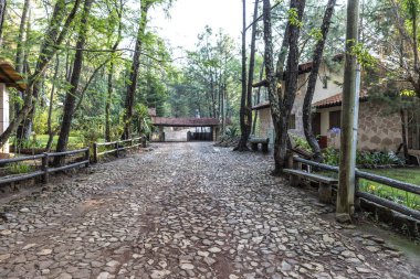 Mazmitla yeşil ormanda. Meksika, dağ manzarası.