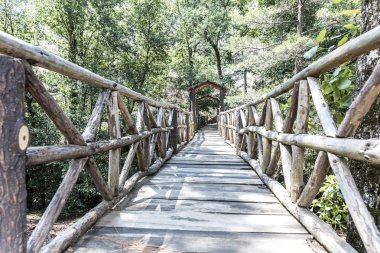 Wooden rustic bridge in the forest of Mazamitla, Mexico. clipart