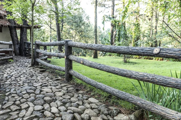 Hermoso Bosque Verde Mazmitla México Paisaje Montaña — Foto de Stock