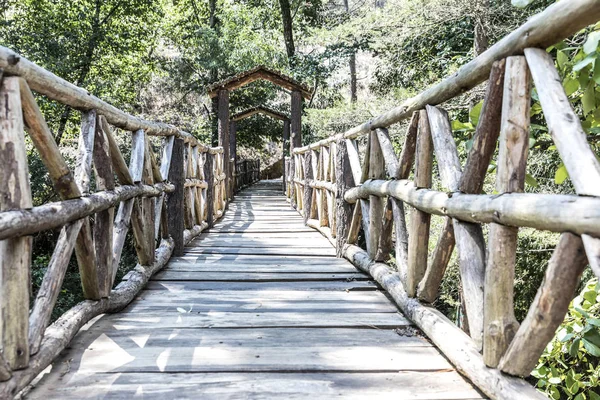 Ponte Rústica Madeira Floresta Mazamitla México — Fotografia de Stock