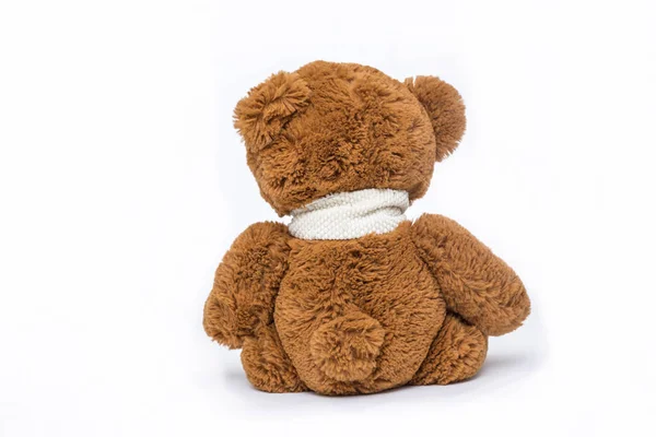 Teddy Bear Back Soft Toy White Background — Stock Photo, Image