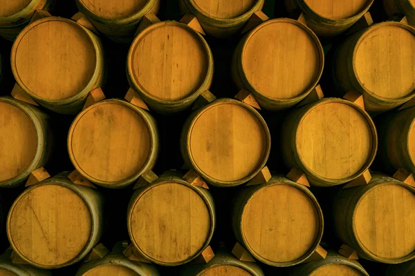 Weinfässer Stapeln Sich Alten Keller Des Weinguts — Stockfoto