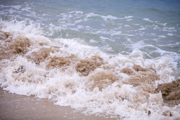 Krajobraz Ocean Meksyku Plaża — Zdjęcie stockowe