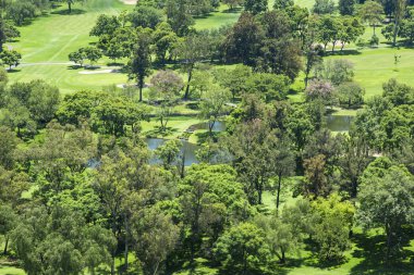 Meksika yeşil alanlar ile Park