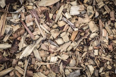 pines farklı türde ince ahşap doku