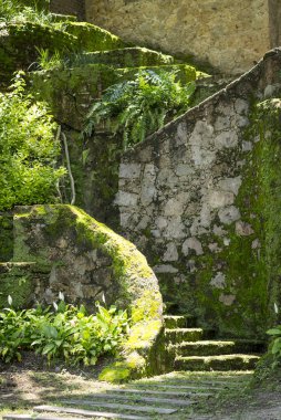 eski yer yeşil alanlarda dekore edilmiştir.