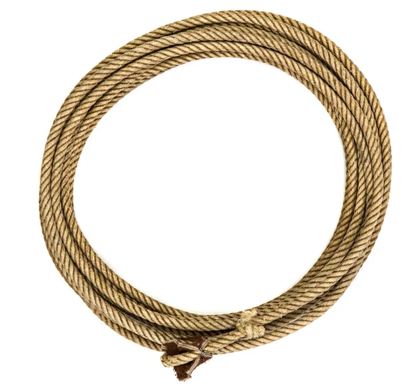 Мотузка Коні Білому Тлі — стокове фото