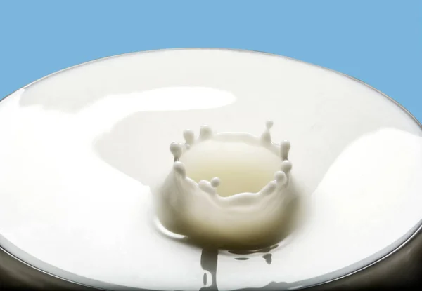 Setetes Susu Jatuh Pada Saat Kontak — Stok Foto