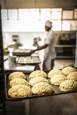 kuzu çanak kabukları ekmek