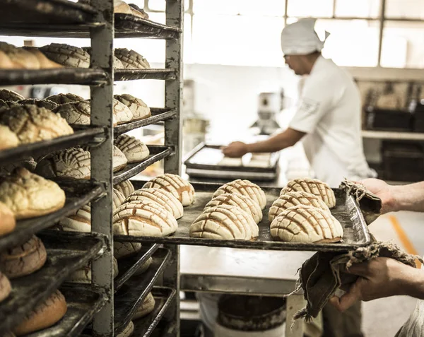 Production Shells Personal Bakery — Stock Photo, Image