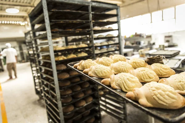 Bread Carts Production Shell — Stock Photo, Image