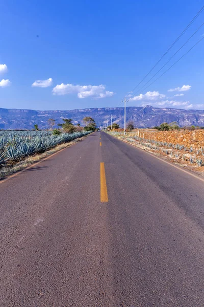 Estrada Com Paisagem Tequila — Fotografia de Stock