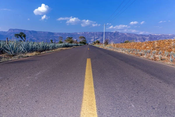 Estrada Com Paisagem Tequila — Fotografia de Stock