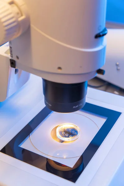 Homem Técnico Biologia Gestão Microscópio Alta Tecnologia — Fotografia de Stock