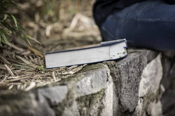 Młody Biznesmen Czytanie Biblii Świętej Ogrodzie Świeżym Powietrzu — Zdjęcie stockowe