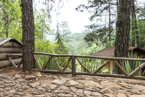 Hermoso Bosque Verde Mazmitla México Paisaje Montaña — Foto de Stock