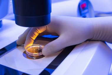 ayrıntılı yordam bir laboratuvarda genetik değişikliğin