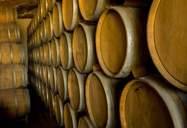 Wine Barrels Stacked Old Cellar Winery — Stock Photo, Image