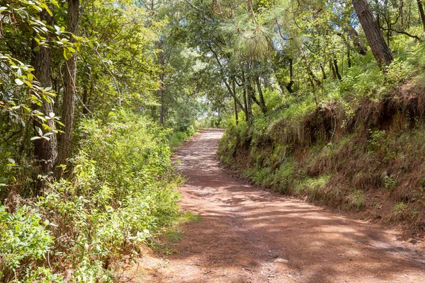 Detalhe de uma estrada de terra — Fotografia de Stock