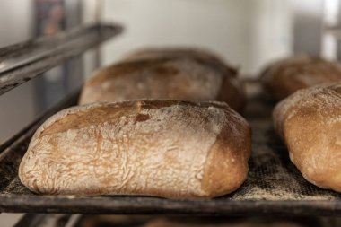 ekmek üretiminde usta fırıncı nın elleri