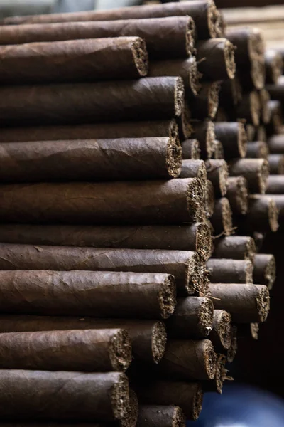 Man hands making cigars. — Stock Photo, Image
