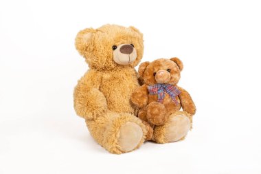 Beyaz arka planda küçük ayıcığı olan oyuncak ayı.