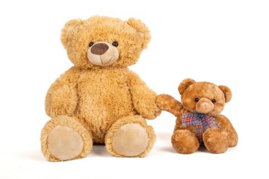 Beyaz arka planda küçük ayıcığı olan oyuncak ayı.