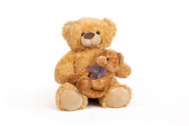 Beyaz arka planda küçük ayıcığı olan oyuncak ayı.