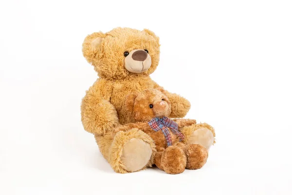 Teddy Bear Little Bear White Background — Stock Photo, Image