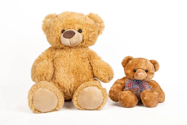 Teddy Bear Little Bear White Background — Stock Photo, Image