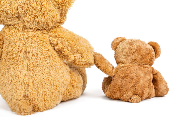 Teddy bear with little bear in on white background.