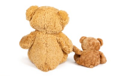 Beyaz arka planda küçük ayıcığı olan oyuncak ayı.