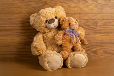 Oyuncak ayı, küçük ayıyla birlikte ahşap zeminde ve duvarda.